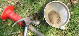 Check spelling or type a new query. How To Fertilise Fruit Trees