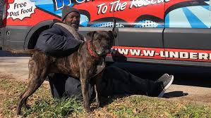 Maybe you would like to learn more about one of these? A Homeless Man Rescued All The Animals At A Shelter After It Caught On Fire Cnn