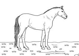 Cool horse coloring pages printable. Free Printable Horse Coloring Pages For Kids