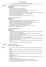 it senior business analyst resume
