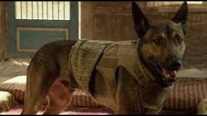 Are you searching for best movie character names for dogs? Max Hero Dogs Featurette Youtube