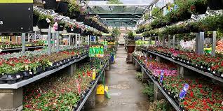 The company is headquartered at the atlanta store support center in cobb county of atlanta, georgia. The Home Depot Sustainable Garden Using Rainwater To Keep Plants Thriving