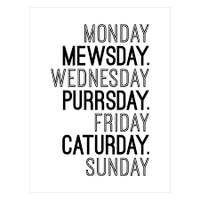 Be sure to change her water frequently and make sure that she is drinking. The Week According To A Cat I Can Has Cheezburger