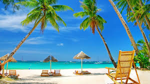 Palm trees blowing in a cool breeze. Summer Beach Background Wallpaper 84151