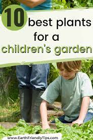 Best Plants For A Children S Garden Earth Friendly Tips Children S Garden Cool Plants Gardening For Kids