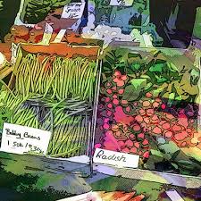 farmers market from lauren j brading http www directoryofillustration com artistportfoliothumbs aspx aid 6880 food illustration market organic vege