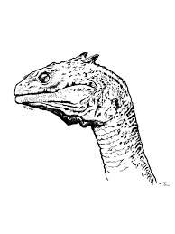 Basilisk Drawing - Harry Potter And The Chambers Of Secret. | Desenhos,  Criaturas, Fantasias