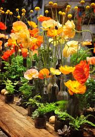 We did not find results for: The Big Garden Show In Toronto Called Canada Blooms Is Like A Spring Life Raft At The End Of Our Long Canadian Winter Her Beautiful Flowers Big Garden Bloom