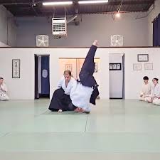 Dave Stier Shihan, 6th dan, Founder and Chief Instructor, Green River  Aikido Aikido is not always a harmonious journey, but one that is also full  of conflict and the reality of one's