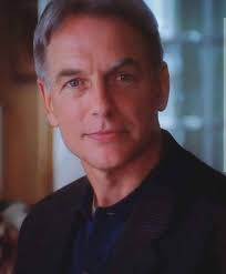 NCIS: Los Angeles Stars Daniela Ruah and Eric Christian Olsen Weigh in