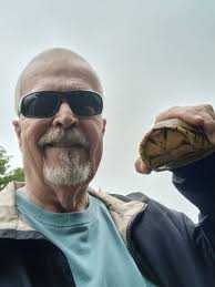 Bella Vista Neighbors