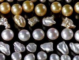 Pearls today are receiving as much attention as any other stone, and with the renewed interest in pearls, you might be wondering how much your pearls are worth. The History Of Pearls Nova Pbs