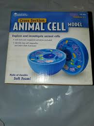 The crafts n coffee site is no longer active, but i thought you could still use this picture as a guide if you'd like to make your own styrofoam cell model! Learning Resources Ler1900 Animal Cell Crosssection Model For Sale Online Ebay