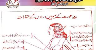 Tibb4all Tibb Books Ilamic Books Aqwal Aqwal Hazrat Ali R A Aqwal Shak Saadi Urdu Book New Book Saadmeo Tibbf Urdu Quotes With Images Hazrat Ali Books