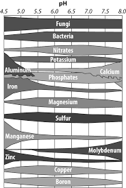 Most gardeners are familiar with the u.s. Https Grayson Ca Uky Edu Files Id 128 Home Vegetable Gardening In Ky Pdf
