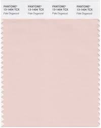 pantone smart 13 1404 tcx color swatch card pale dogwood light pink paint book for sale