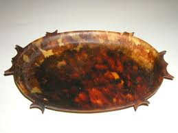 Like other sea turtles, hawksbill turtles are solitary for most of their lives; Tortoiseshell Wikipedia