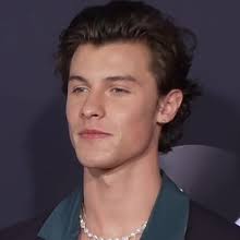 Shawn mendes & camila cabello: Shawn Mendes Wikipedia