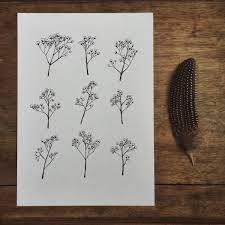 Sale Gypsophila Baby S Breath Flower Illustration A4 Print Of Original Drawing Baby Breath Tattoo Gypsophila Tattoo Babys Breath Flowers