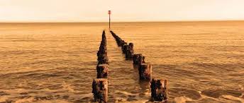 Walter A. Stiles, Jr.