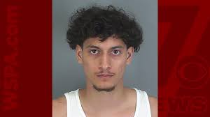 Pedestrian hit, killed