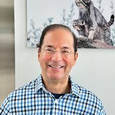 Team 1 — Overstories