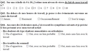 Questionnaire Rps Enquete Qvt Et Audit De Climat Social
