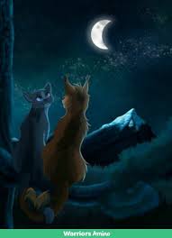 She is also a recruitable ally and character in both games. Warrior Cats Bluestar X Oakheart By Moonlit Spottedstar Facebook