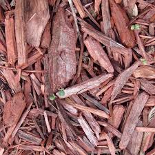Sprinkle vinegar directly on the area or. How To Stop Cats From Fouling Your Garden