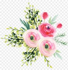 Arden Roses Flower Bouquet Aesthetic Flowers Png Image With Transparent Background Toppng arden roses flower bouquet aesthetic