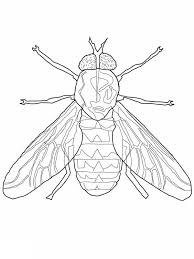Fly Coloring Page For Kids Coloring Sky Bug Coloring Pages Coloring Pages Coloring Pages For Kids