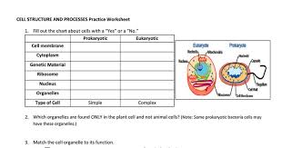We did not find results for: Cell Structure Practice Pdf Cell Structure Eukaryotic Cell Prokaryotes