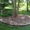 Can i lay sod over mulch. 1