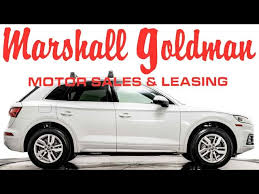 Image result for Ibis White 2020 Audi