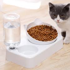Makes swallowing easier by reducing strain on esophagus(food pipe). Anti Vomiting Orthopedic Cat Bowl In 2020 Cat Food Bowl Cat Bowls Pet Bowls