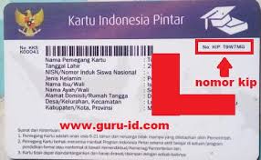 Aktak kelahiran saya hilang bagaimana mengetahui nomor akta kelahiran saya nama : No Kip Terletak Dimana Berikut Penjelasannya Info Pendidikan Terbaru