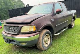 Image result for Chestnut 2000 F150