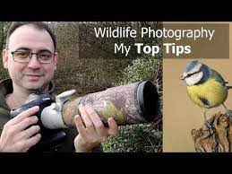 Wildlife Photography For Beginners 5 Tips With Paul Miguel Photography Youtube Wildlife Photography Youtube Photography Photography For Beginners