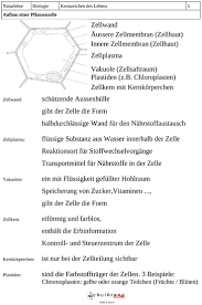 Eltern können die übungsblätter zum. 5 Aufbau Einer Pflanzenzelle Natur Mensch Gesellschaft Biologie Schularena Com Unterrichtsmaterial Und Arbeitsblatter