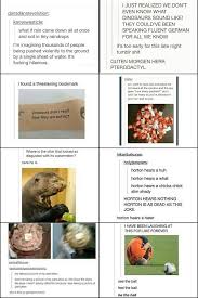 Tumblr Bwahahahahahaha I Just Went To Google Translate And Typed In The Pterodactyl Thing And Apparently Guten Morg Tumblr Funny Funny Tumblr Posts Haha Funny