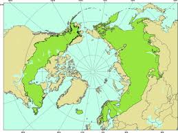 We did not find results for: An Introduction To Canada S Boreal Zone Ecosystem Processes Health Sustainability And Environmental Issues