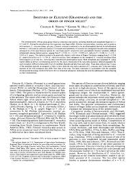 Image result for Eleusine kigeziensis