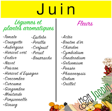 Tout comme les arbustes et arbres d'ornement, vous devrez praliner vos racines avant de les mettre en terre. Legumes A Planter En Juin Decouvrez La Selection De Nos Jardiniers