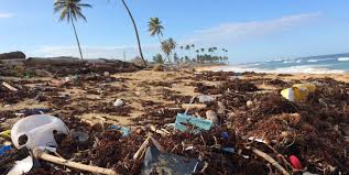 Learn more about cement in this article. Cement Factories Can Put The Brakes On Global Plastic Pollution
