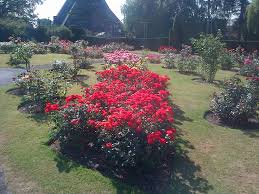 1906 advance reservations recommended via opentable or by calling 610.388.5290. A Visit To The Rose Garden At The Botanic Gardens Beyond The Wild Garden