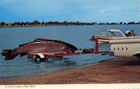 Huge shout out to my friends at favorite usa! The Biggest Fish I Ever Caught Idaho Harvester Blog Working Collection Of The University Of Idaho Library S Special Collections Archives