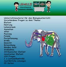 Verschiedene Fragen Zu Dem Thema Elefant Nahrung Lebensraum Aussehen Alter Paarung Feinde Fortpflanzung Grosse Gewicht Entwicklung Weisses Gold Stosszah Worksheets