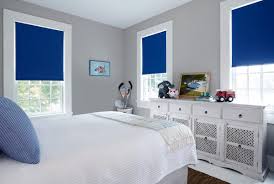 Insolroll manufactures blackout roller shades for commercial and residential applications. Custom Roller Shades Blinds Windows Doors Blinds To Go