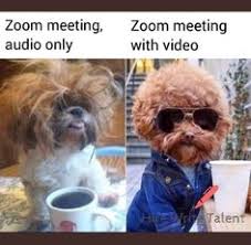 The meeting host can choose to split the participants of the meeting into these separate sessions automatically or manually, and can switch between sessions at any time. 8 Best Zoom Meeting App Ideas Funny Memes Funny Relatable Memes Stupid Memes