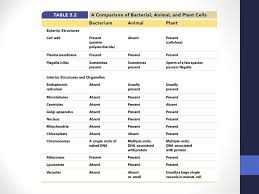 We did not find results for: Cell Structure Cell Theory Prezentaciya Onlajn